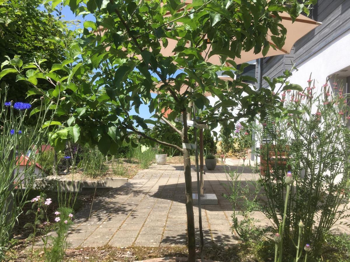 Sweetsuites 40a Lavendelhaus Mühlhausen