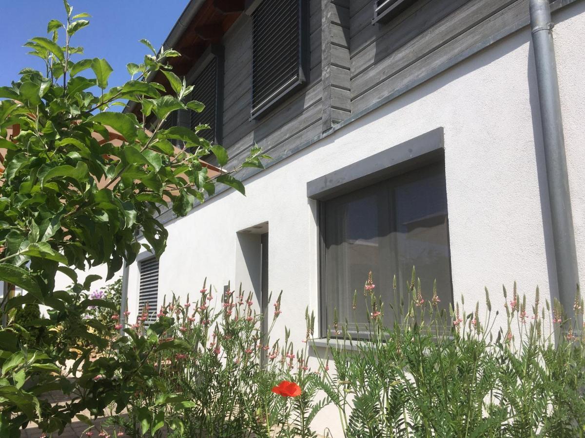 Sweetsuites 40a Lavendelhaus * Mühlhausen